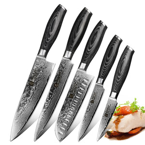 XINZUO 5 PCS Kitchen Knives Set 67 Layers VG 10 Japan Damascus Steel Chef Cleaver Santoku Utility Paring Knife Pakkawood Handle
